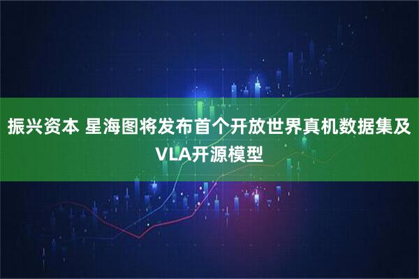 振兴资本 星海图将发布首个开放世界真机数据集及VLA开源模型