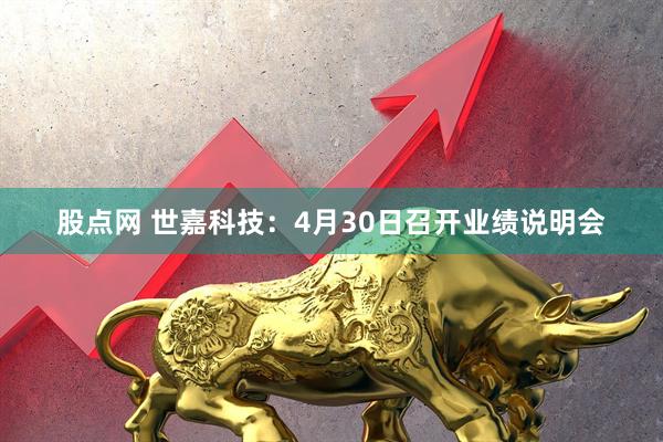 股点网 世嘉科技：4月30日召开业绩说明会