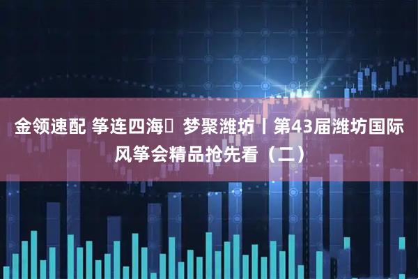 金领速配 筝连四海・梦聚潍坊丨第43届潍坊国际风筝会精品抢先看（二）